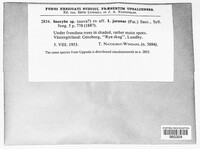 Image Associated With the Occurence